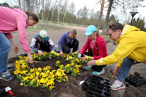 Pomarkku sai oman taidepuiston vuonna 2017.  Arkistokuvassa Pomarkun yläkoulun yhdeksännen luokat oppilaat istuttivat orvokkeja Pomarkun vaakunan muotoon.