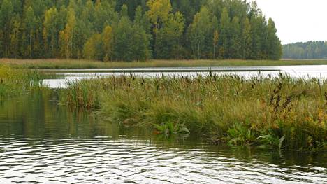 Keski-Suomen ely-keskus myönsi avustuksia tänä vuonna 17 hankkeelle, joilla pyritään parantamaan vesistöjen käyttöä ja tilaa. Avustusta saatiin myös Kuorevedelle. Kuvituskuva.