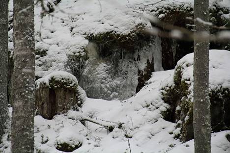 Viime vuoden joulukuusta tuli lumipeitteinen. Kuva Isojärven kansallispuistosta.