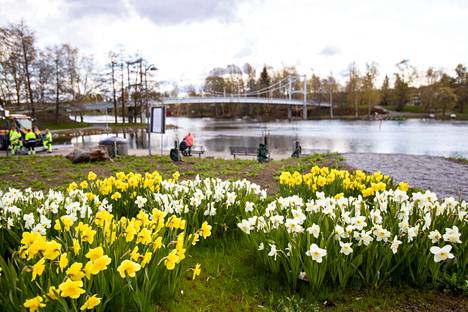 Markkinointisihteeri Riina Syrjäsen mukaan Valkeakosken kaupungin painettu kaupunkiesite on suunnattu kerralla monelle eri kohderyhmälle, koska se on kustannustehokasta. Kuvituskuva Lepänkorvan puistosta keväältä 2020.
