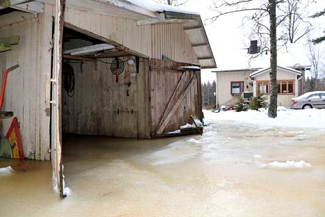 Viime viikosta ei tulva ole laskenut, kertoo talon asukas Pekka Suni. Kuva on keskiviikolta 9. helmikuuta.