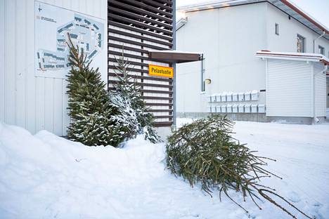 Pois heitettyjä joulukuusia roskakatoksen vieressä Lempäälän Hakkarissa loppiaisena 2022.