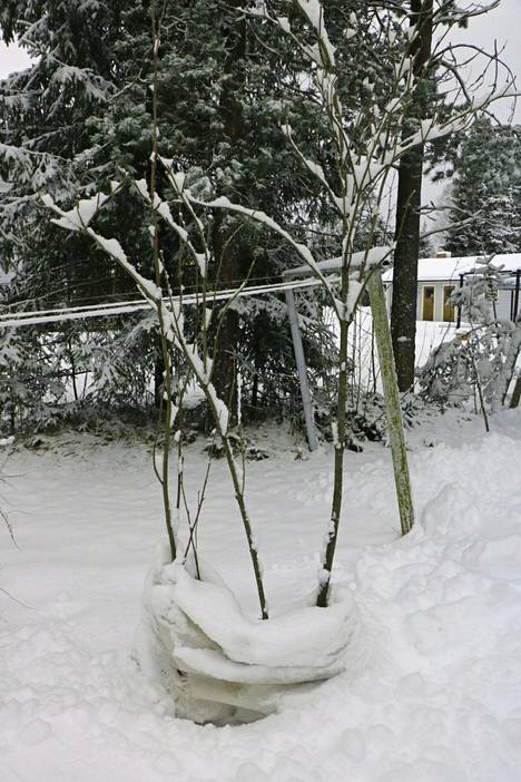 Harjavaltalaisessa pihassa odotti yllätys uudenvuodenaaton aamuna. Auton tuulilasin suojana käytetty suursäkki oli aivan eri paikassa, kolmen pienen puun ympäri kiedottuna. Erikoisena tapahtuneessa voidaan pitää sitä, ettei ympäristöstä löytynyt jalanjälkiä lumihangessa.