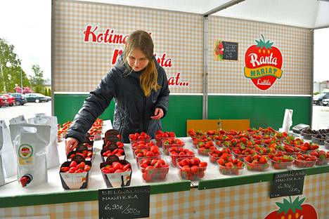 Rantamarjat avasi mansikanmyyntikojunsa Rauman seudulla tällä viikolla. Prisman edustalla marjoja perjantaina myynyt Kerttu-Sofia Kaukkila kertoi kaupan käyneen hyvin koleasta ilmasta huolimatta.