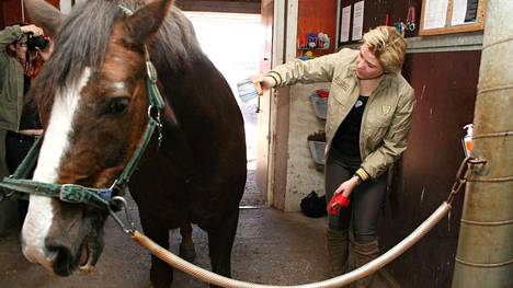 Arkistokuva vuodelta 2009, jolloin opetusministeri Henna Virkkunen vieraili Tuorin ratsutilalla Huittisissa. Hevosurheilu-lehti kertoo, että kolmen ratsutilan hevosen epäillään kuolleen hevosten koronavirukseen.