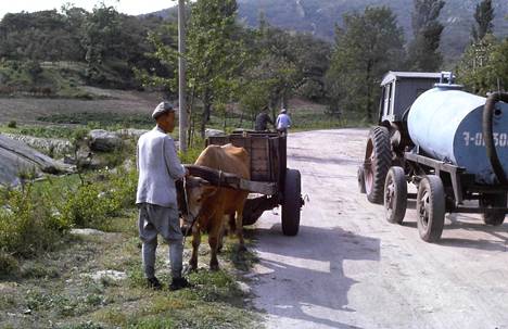 Lappalainen vieraili Pohjois-Koreassa vuonna 1982. ”Tämän kuvan ottamista pohjoiskorealaiset viranomaiset paheksuivat. Heidän miestään härän kanssa liikkeellä ollutta miestä ei olisi saanut kuvata, koska heillä oli maatöissä nykyaikaisempiakin välineitä, kuten traktoreita”, Ilkka Lappalainen kertoo.