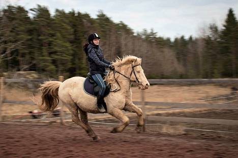 Ratsastushevosia pakkolomalla - Lapsiharrastajilla rankkaa - Elämänmeno -  Rannikkoseutu