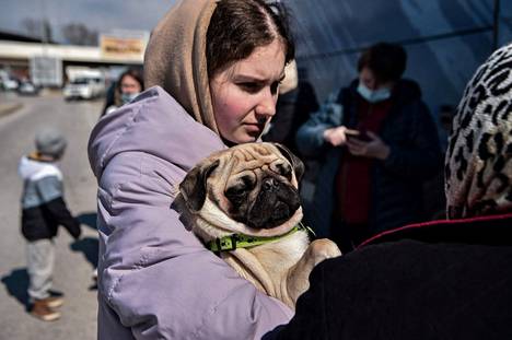 Ukrainasta paennut nainen piteli pientä koiraansa saavuttuaan Bulgarian ja Kreikan rajalle.