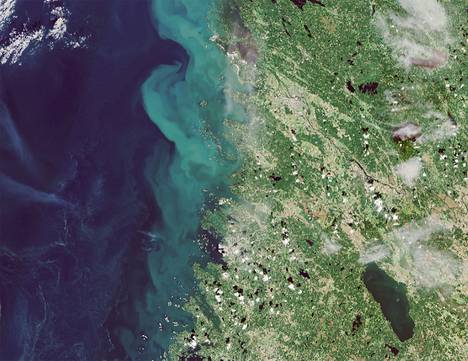 Maanantainen satelliittikuva Selkämeren rannikolta. Rauma sijaitsee kuvan keskivaiheilla ja Pori lähellä kuvan yläreunaa. Alaoikealla erottuu Pyhäjärvi ja alareunassa Pyhämaa.