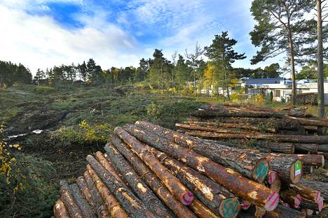 Alue ammottaa nyt tyhjyyttään, kun suurin osa puustosta kaadettiin alkuviikosta. Tontti on kaavoitettu jo vuosikausia sitten rivitalotontiksi, mutta monet alueen asukkaat ovat tottuneet, että paikalla on metsää. 