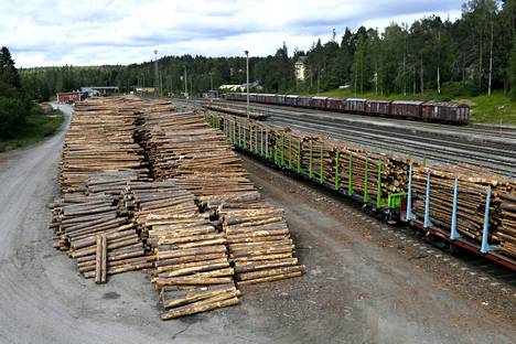 Tukkikuorma junassa ja varastossa Haapamäen asemalla Keuruulla. Arkistokuva.