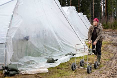 Kuhmoisten Harjunsalmella sijaitsevalla Keskisen tilalla on työskennellyt vuosittain noin 70 ukrainalaista kausityöntekijää. 