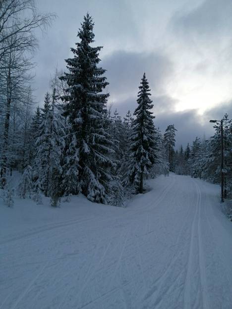 Anneli Lehtonen nappasi tämän talvisen kuva koukun ladulta 4. tammikuuta.