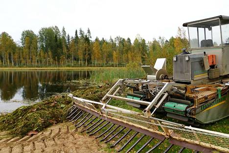 Hangasjärvi uhkaa täyttyä vesikasvustosta. Kuva Särkijärveltä, jossa toteutettiin vesikasvuston niittoa muutama vuosi sitten. 