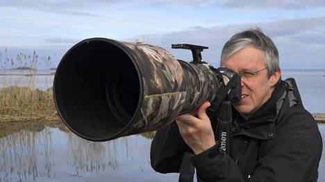 Kamera kulkee luontokuvaaja Ari Ahlforsin mukana lähes aina. Vaikka Ahlfors on kuvannut lähes kaikki Suomen linnut, vielä riittää haaveita. Toivelajeja kameran eteen ovat kaulushaikara, uuttukyyhky ja jänkäkurppa.