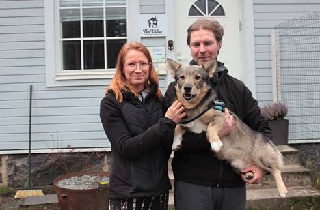 Kiikoislaiseen Katja ja Janne Ylitalon pitämään lemmikkihotelliin mahtuu jatkossa entistä enemmän koiravieraita.