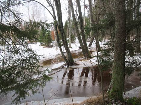 Tammikuun alkupuolen runsaat sateet ja lämpimät säät saivat isot joet tulvimaan. Myös pieni Vuohijoki tuli 17.tammikuuta.