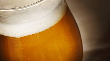 Testissä arvioitiin niin sanottuja länsirannikon ipa-oluita Alkon valikoimasta.
