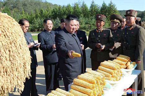 Pohjois-Korean johtaja Kim Jong-un (kesk.) vieraili farmilla No. 1116. Pohjois-Korean virallisen tiedotustoimiston kuva julkaistu 9. lokakuuta 2019. 