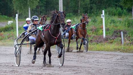 Niinisalon raveissa nähdään runsaasti paikallisia hevosia ja ohjastajia. Arkistokuvassa Erkki Kujansuu ohjastamassa vuoden 2017 Niinisalon raveissa.