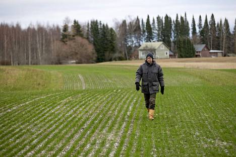 Maanviljelijä Janne Rauhansuu katsastaa koelohkoja Pöytyällä Varsinais-Suomessa 18. marraskuuta 2022. Rauhansuu viljelee sukupolvenvaihdoksen jälkeen kotitilaansa. Vuonna 2010 hän siirtyi luomuviljelyyn.