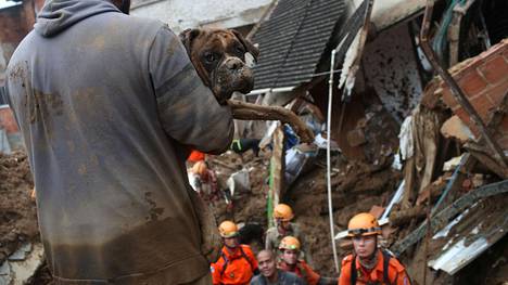 Mies kantoi koiraa maanvyörymäalueella Petropoliksen kaupungissa Brasiliassa keskiviikkona 16. helmikuuta. Rankkasateen aiheuttamissa maanvyörymissä on kuollut ainakin 44 ihmistä.