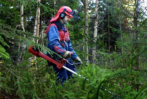 Metsien hoitotarve on jäänyt kauas tavoitteista Pirkanmaalla.