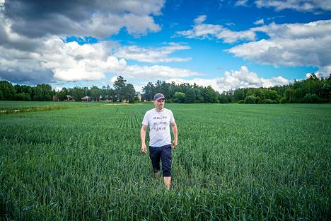 Tämä pelto päästään puimaan ehkä syyskuun ensimmäisellä viikolla, ennakoi Jussi Aikko.