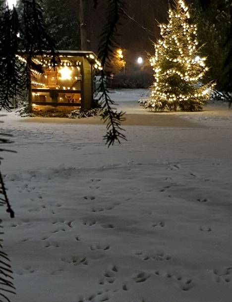 Jäljet lumessa Valkeakosken hautausmaalla  7. joulukuuta.