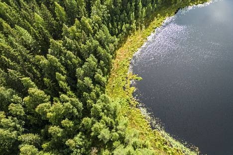 Tiesitkö, että Tampereella on 147 järveä? – Kävimme niistä kolmella  pienimmällä - Hyvä elämä - Aamulehti