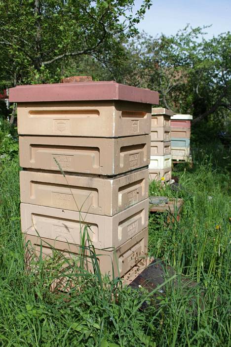 Mehiläispesät on rakennettu stryrox-laatikoista.