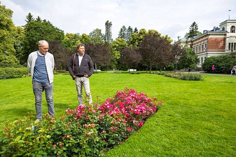 Seppo Pohja ja Matti Koskinen ovat löytäneet ruusutarhasta muun muassa Astrid Lindgren -ryhmäruusun, jollainen kasvaa myös mökin pihassa. 