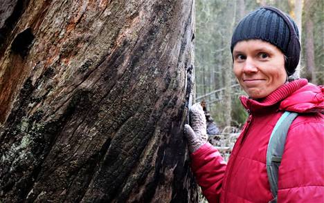 Margarita-romaanilla kaunokirjallisuuden Finlandian voittaneelta Anni Kytömäeltä ilmestyi tänä syksynä uudistettu painos vuoden 2016 Luontopäiväkirja-teoksesta.