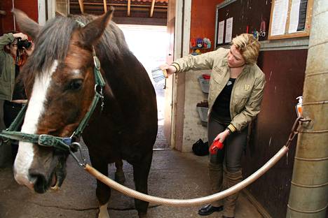 Arkistokuva vuodelta 2009, jolloin opetusministeri Henna Virkkunen vieraili Tuorin ratsutilalla Huittisissa. Hevosurheilu-lehti kertoo, että kolmen ratsutilan hevosen epäillään kuolleen hevosten koronavirukseen.