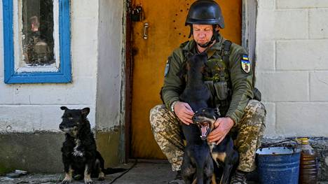 Ukrainalaissotilas istuu koirien kanssa lähellä etulinjaa Zaporižžjan alueella Ukrainassa 21. syyskuuta.
