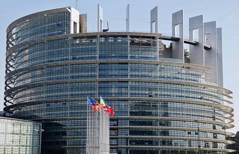 Euroopan parlamentti äänestää Strasbourgissa muun muassa siitä, miten se suhtautuu puun polttamiseen energiaksi.