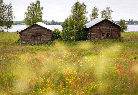 Pienvedet ja ranta-alueet kuntoon – Helmi-ohjelma laajenee Keski-Suomessa -  Elämänmeno - Suur-Keuruu