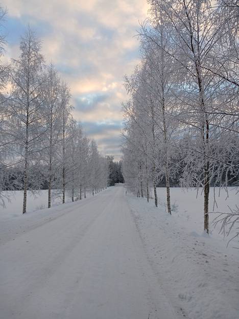 Tämä kuva napattiin Hämeenlinnassa jouluaattona.