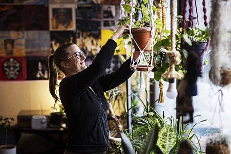Tamperelainen Hanna Järvenpää innostui viherkasveista, kun hän sai 120 huonekasvia -nimisen kirjan ja päätti hankkia kaikki kirjan kasvit. Vaikka suunnitelma ei täysin onnistunut, Järvenpäällä on kotonaan nykyään satoja kasveja ja hän kirjoittaa pääasiassa viherkasveihin keskittyvää Hulluna-blogia.