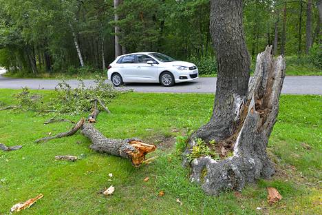 Kova tuuli katkoi oksia ja puita elokuun alussa. Arkistokuva: Juha Sinisalo 
