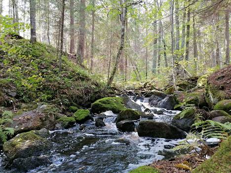 Myllyniityn metsässä juoksee luonnonuomainen pikkujoki, joka laskee Isosta Leppäjärvestä Painonjärveen. Joen alkupää on täynnä pieniä ryöppyäviä koskia.