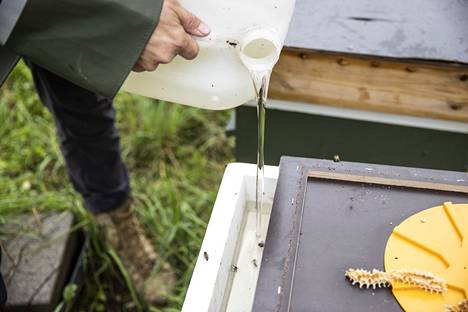 22 kiloa sokeria veteen liuotettuna, siitä on mehiläisten talven ruokavalio tehty.