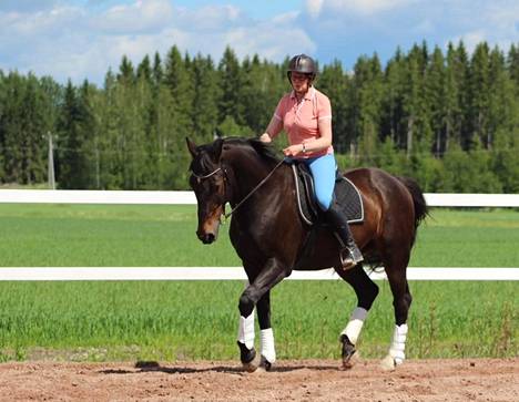 Tiina Hursti painottaa hevosen kanssa toimiessa vuorovaikutusta hallinnan sijaan.