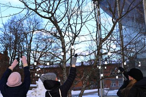  Katri Sillanpää, Outi Puhakka ja Anne Korhonen Treestä kävivät ruokkimassa heijastinpuuta.