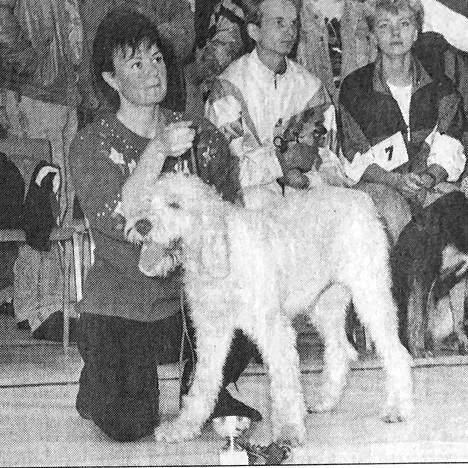 1 Vilppulasta haettiin vauhtia oikeaan koiranäyttelyyn Match Show -tapahtumassa. Leikkimieliseen kilpaan osallistui noin 40 karvaturria. Oikeasta näyttelystä tapahtuma erosi muun muassa siten, että sekarotuisetkin hännänheiluttajat huolittiin mukaan. Anne Lahtinen voitti Rosa-koirallaan tapahtuman pentukilpailun.