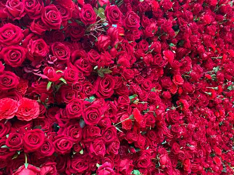 Kukkien symboliikka vaihtelee kulttuureittain, mutta punainen ruusu kertoo yleisesti vahvasta rakkaudesta.