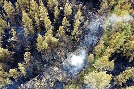 Kalajoen metsäpalossa tuhoutui 227 hehtaaria metsää kesällä 2021.