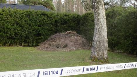 Kadonneeksi ilmoitettu Paula Leino-Mäkilä löytyi kuukausien jälkeen katoamisestaan kuolleena kompostin ja kuusiaidan välistä. Poliisin esitutkintamateriaalin kuva.
