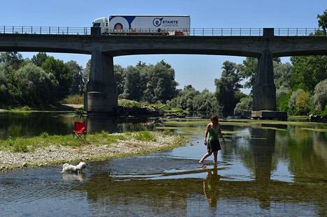 Kovat helteet ovat kuivattaneet Po-joen Pohjois-Italiassa. Nainen kahlasi koiransa kanssa joesta jäljellä olevassa matalassa vedessä Carmagnolassa perjantaina 15. heinäkuuta.