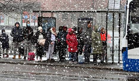  Sakea lumipyry Tampereella 28. maaliskuuta 2022. Luvassa on jälleen lunta.